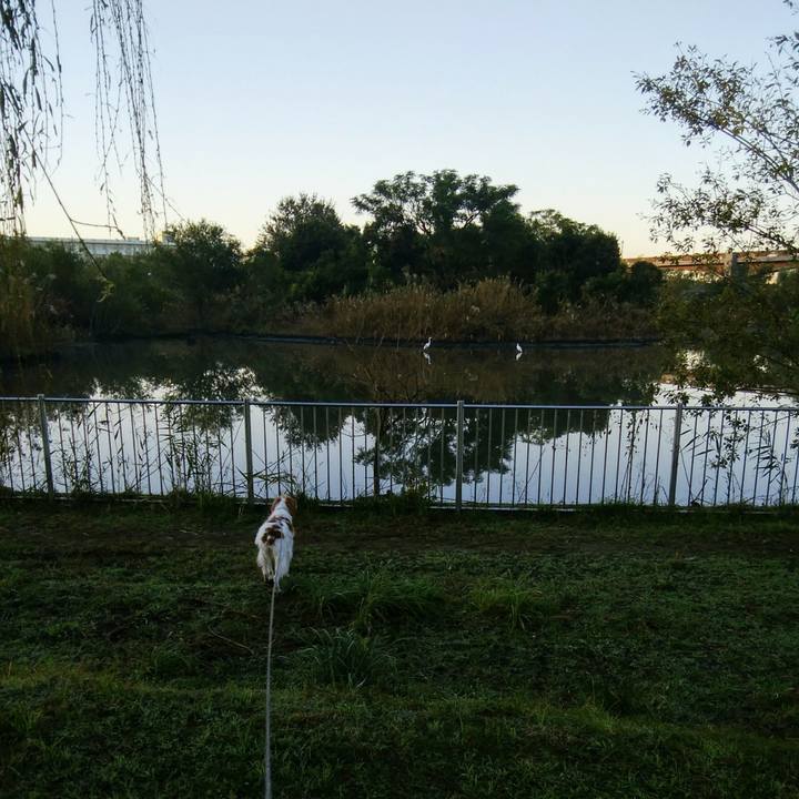 B681435f ff64 422a be5b 082c3216aba8 1542329746355