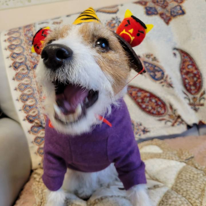 B6815e27 6f06 4b86 b5b3 52fafb37669a 1675402184764