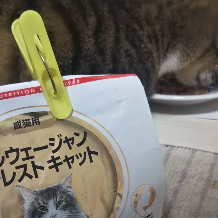 B6816ef1 cb2d 4a9c 94d6 991a09099308 1617457881919