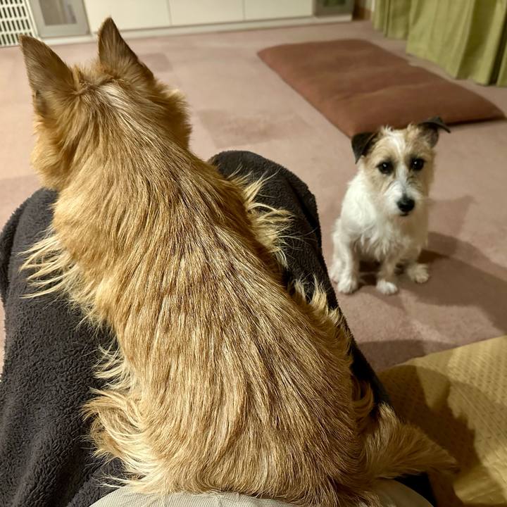 B681c879 415f 411d 9bcf 2758d415672b 1737367076072