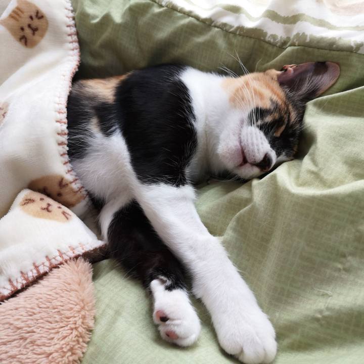 B681cf8b 7760 42f2 b120 3301471b12bc 1603548571466