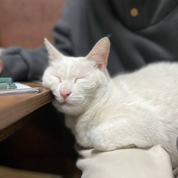 B681e787 dd4a 4b6d 89fb 01db82aaef93 1768466543095