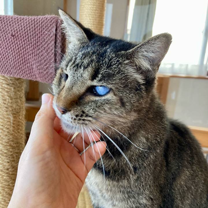 B6823790 72df 4885 adcb 200eb4cba51d 1674269269145