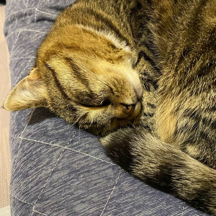 B682593a b8f6 4e9f b7b8 c5a4ddb02353 1652098639155