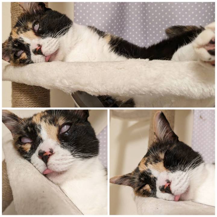 B6827868 68a9 44c6 a584 4197d65e7d18 1687493715165