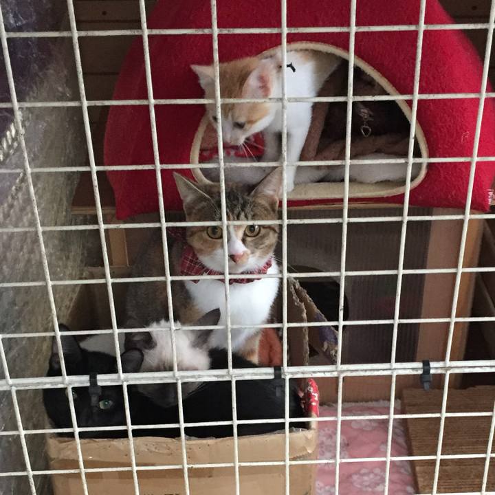 B6827c88 b0f6 4f7d 9afb 4f66da01a5cb 1575328968796