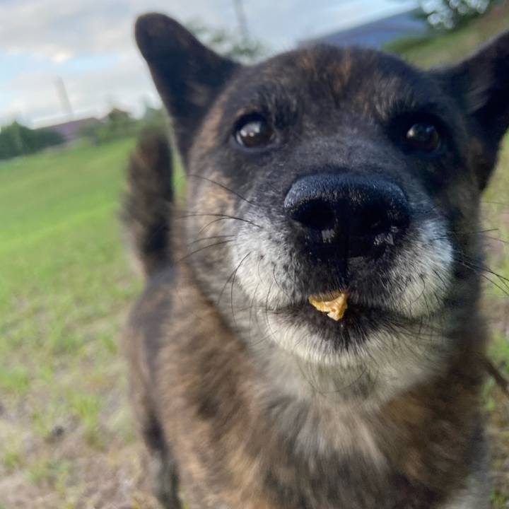 B6829cfe a7e5 4060 9b24 16461ad45030 1598089181110