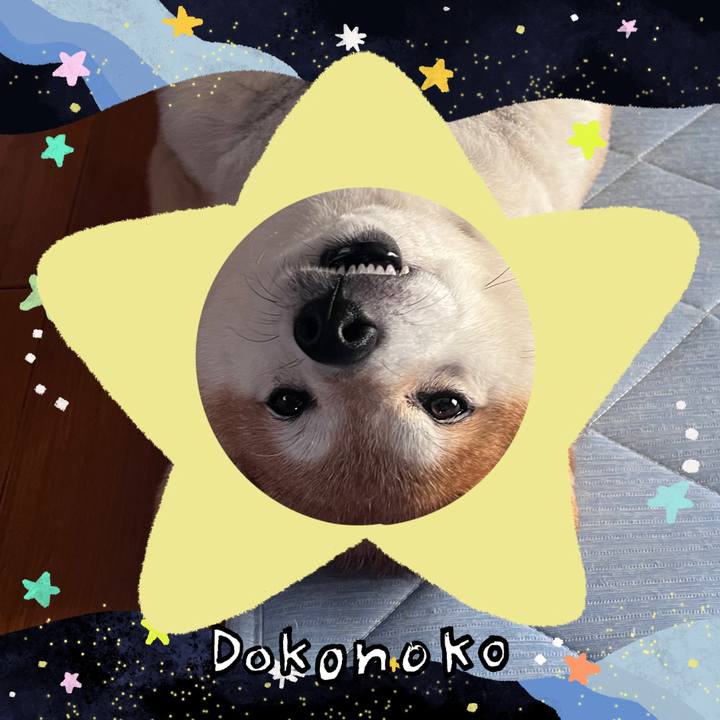 B682ad7f a24a 40f5 b16f 99148fa72b15 1720839202329