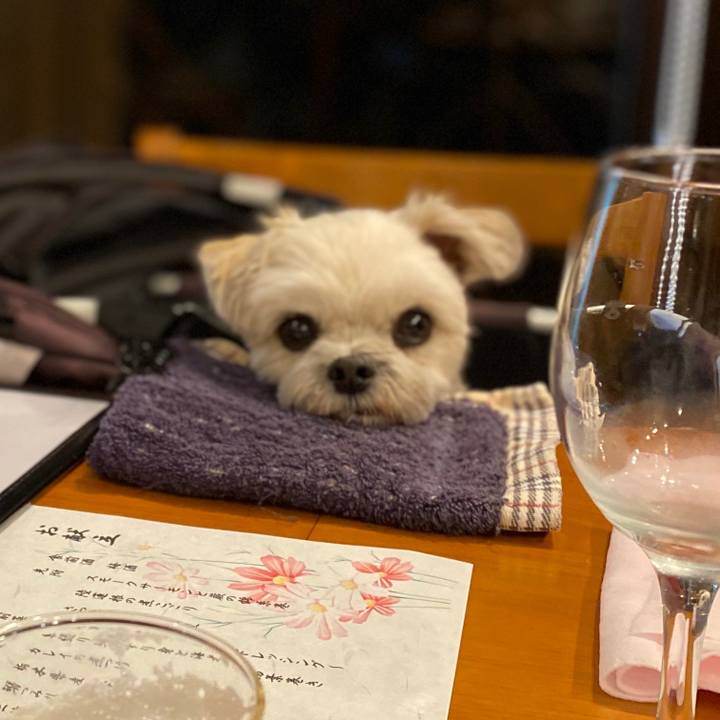 B68303cb 89d5 43b9 a14c 6892ce96340a 1574420557995