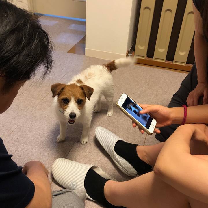 B6833a70 397e 4ee1 993b 9a8292707993 1560686834561