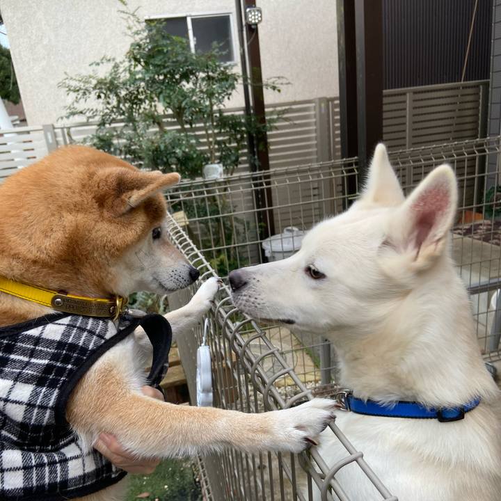 B683822b 3fa6 465e aef8 a0b55a08106e 1639491695991