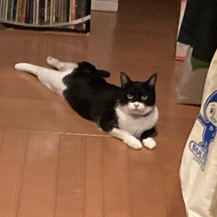 B683af33 3861 42f4 8e37 ab3263c38a2d 1722269312659