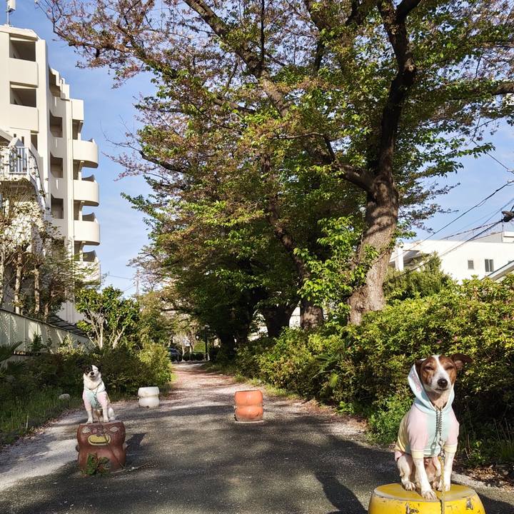 B683cd36 5804 44be 9d50 8f51de7b4813 1744667649857