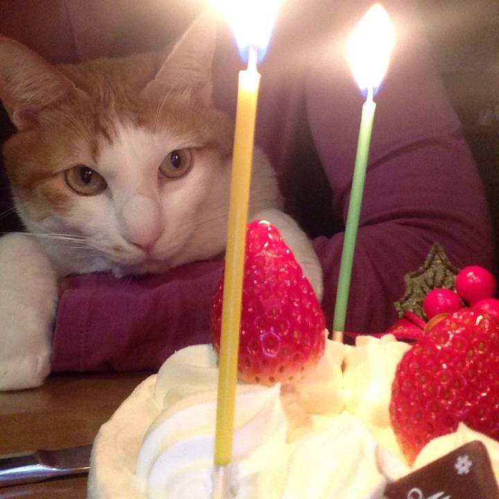 B683dd0e c612 47e7 bbcf 9c3e9d0a8af9 1514112217830