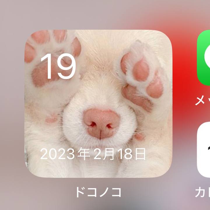 B683e740 b114 4aa7 89bd fecd1e9a2b11 1708346276474