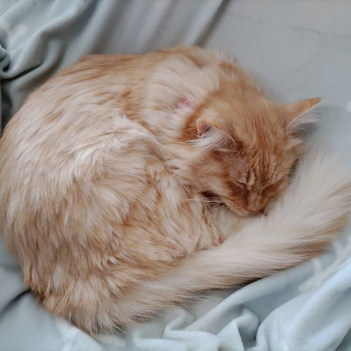 B683facb a051 4373 bc0c 6b3d4d25d0f7 1671848332004