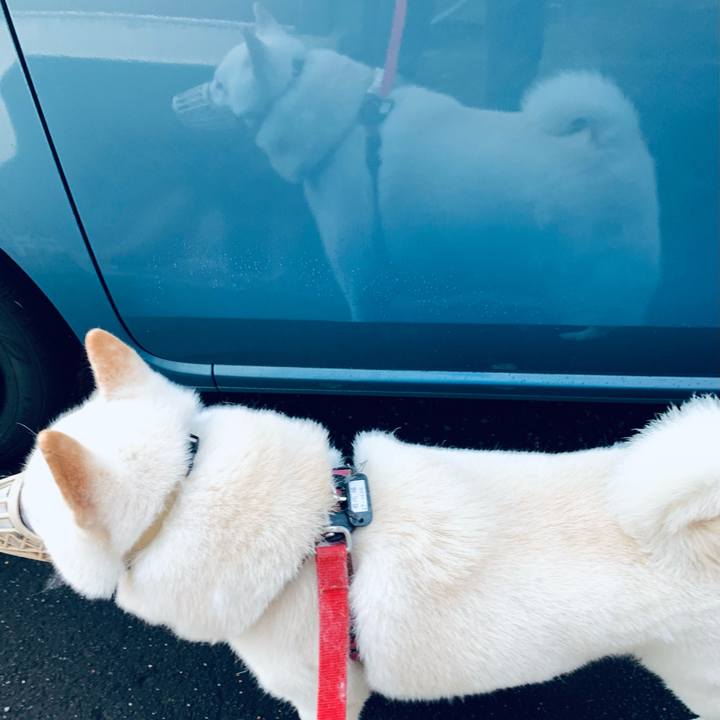 B684039e a27a 41c5 9132 96b65de9ee8e 1602971645328