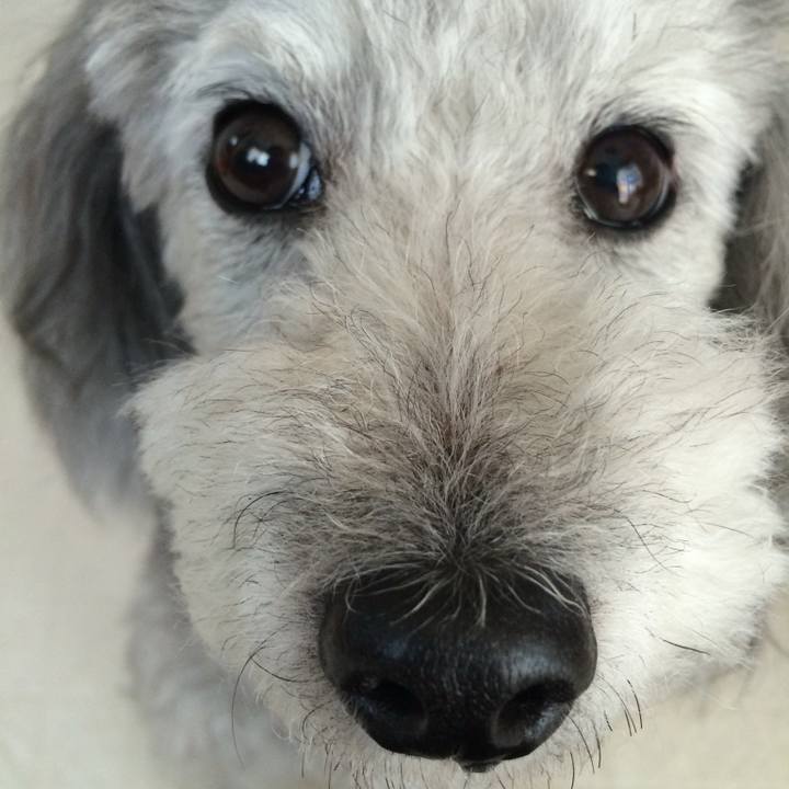 B6840856 7f69 437c 811f dd09d874a1b1 1764635723886