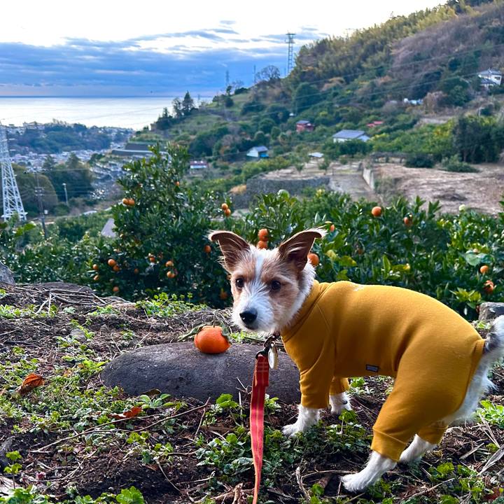 B6848932 6ca6 4d44 b68c b36ac0bf5485 1767222051505