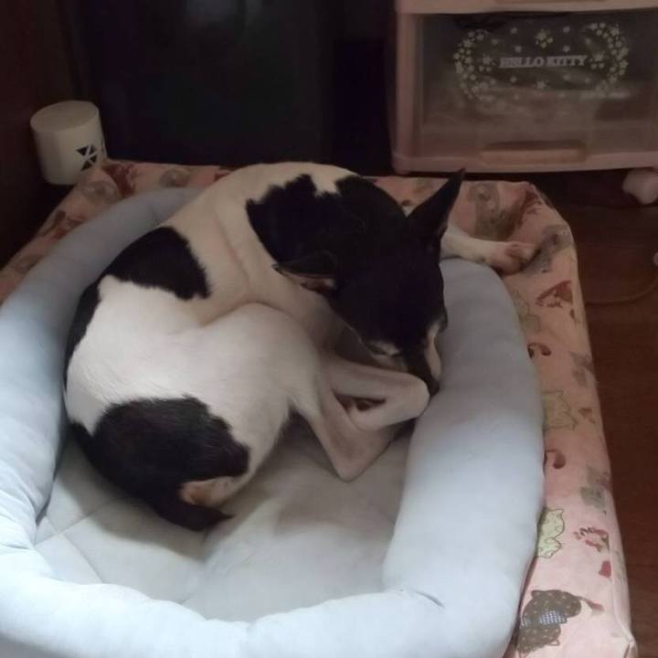 B6848d88 a6ab 479f b93c ce8c546e1f41 1566273177269