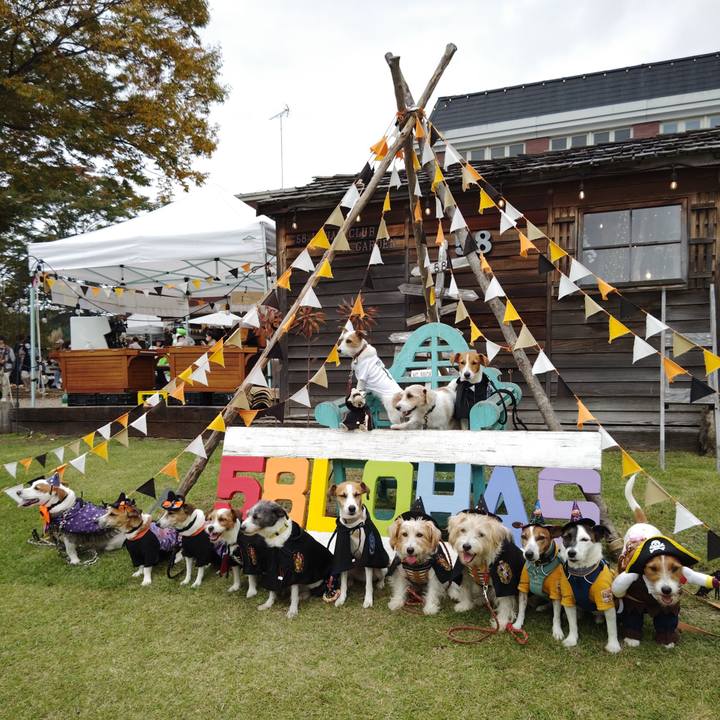 B6849061 05c9 4f93 bd03 9fe20e07ae8e 1730021076012