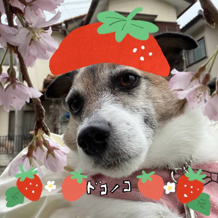 B68493da f114 4950 9d01 f63f553b4ef4 1775204614074