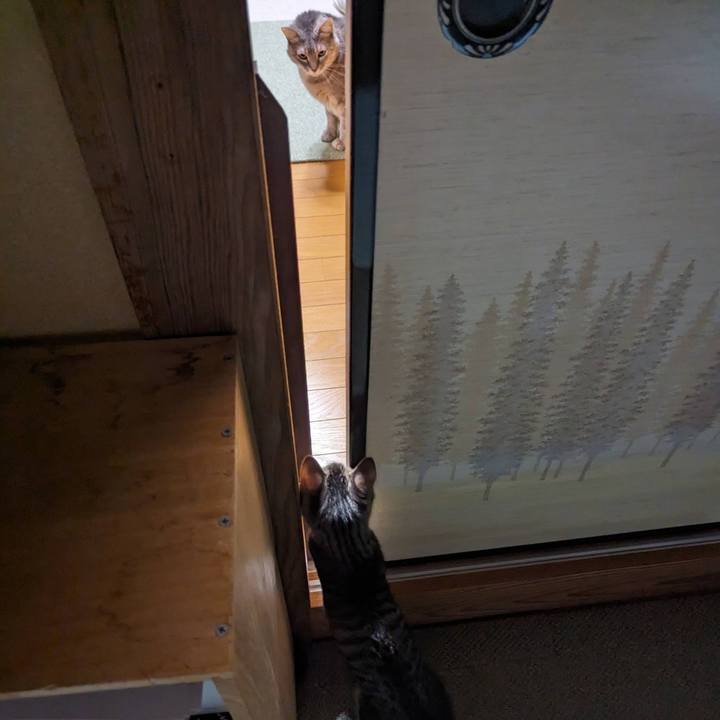 B684ad41 ecad 42f8 a9bf 2ff270596c73 1703059048548