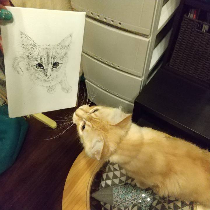 B684fbd7 fe70 48d5 b50f 5cb3086836a4 1610667579091