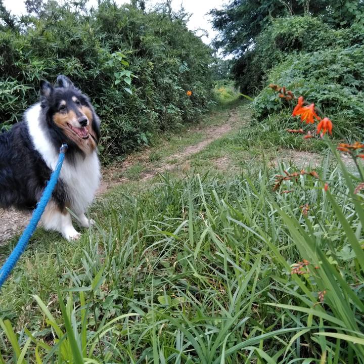 B68531ec 5095 4354 b2bf 2e4eadabd914 1530803324184