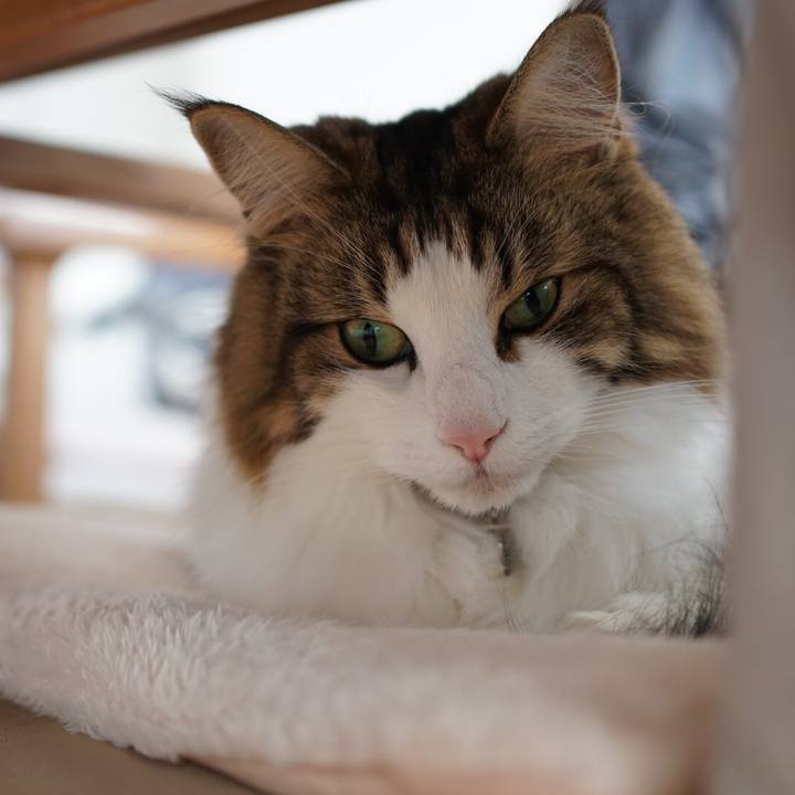 B685557e 1423 4fc0 8a26 1b75f0c50a14 1576040802885