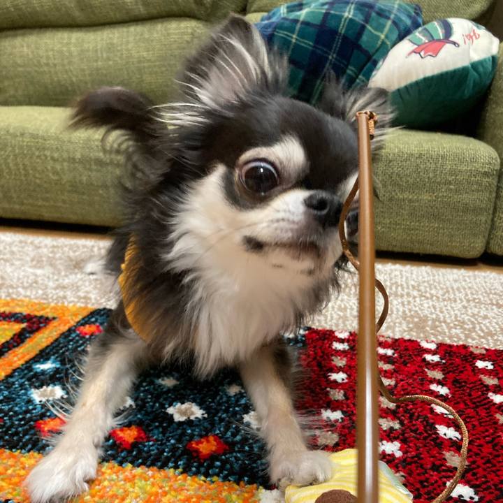 B6855896 6a93 4346 b26b 89d77d8dac92 1680447098644