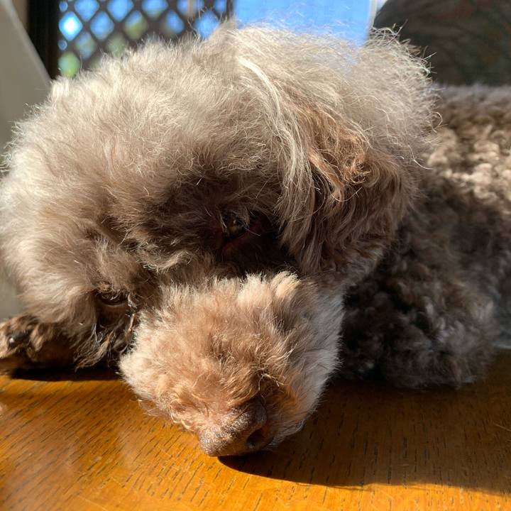 B6855aa6 dc89 4df0 9819 dd8163deabe1 1597531929947