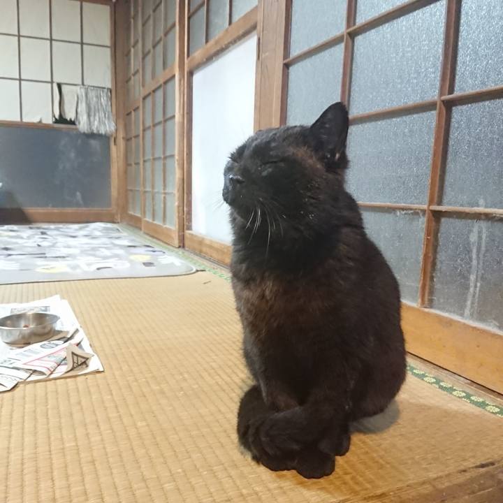 B6858017 b219 4c44 855d 609269a93b52 1618927547484