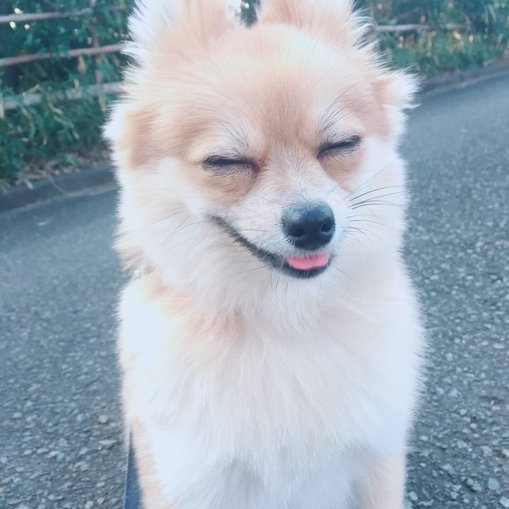 B6859442 7bbb 4748 bb60 0fbe66160111 1519559009666