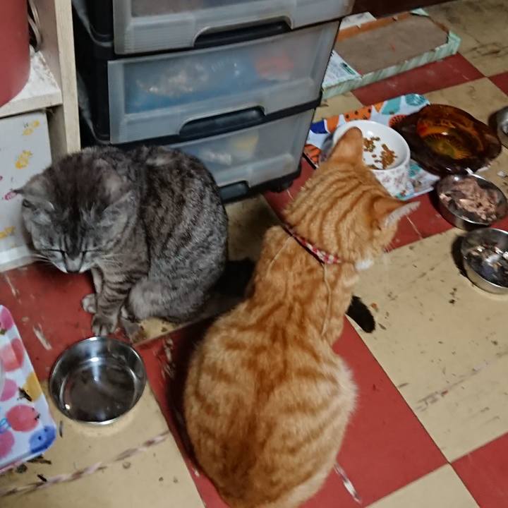 B685d438 fd18 43ff 8521 2b65474d6c24 1563999062102