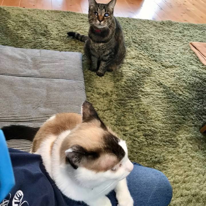 B685ebd9 289d 4fac a129 a4331edd8307 1694221566333