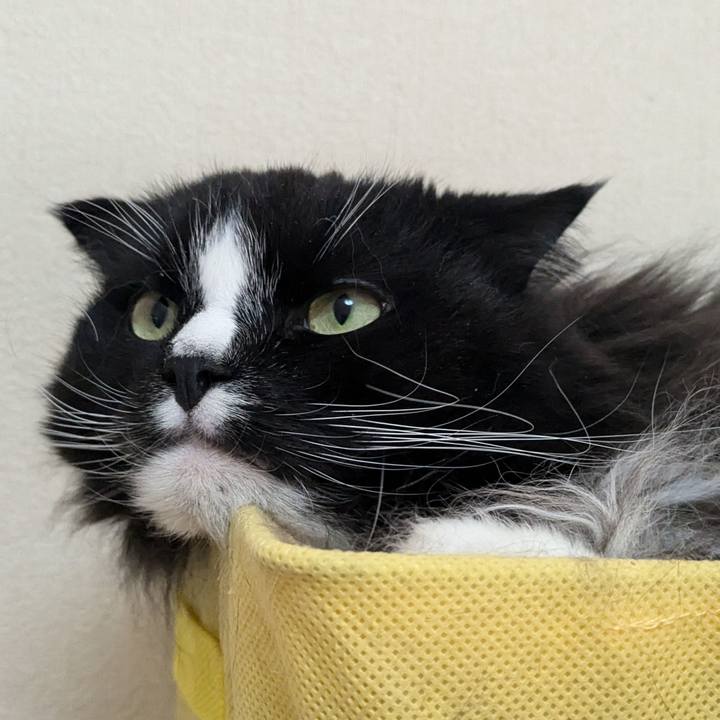 B6860dc6 4d4f 4377 8752 945dab624776 1734924446606