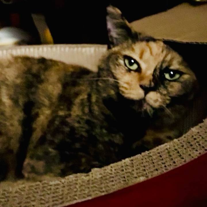 B6860eea 1843 4618 b31d 886dcc1aa38d 1758919015136