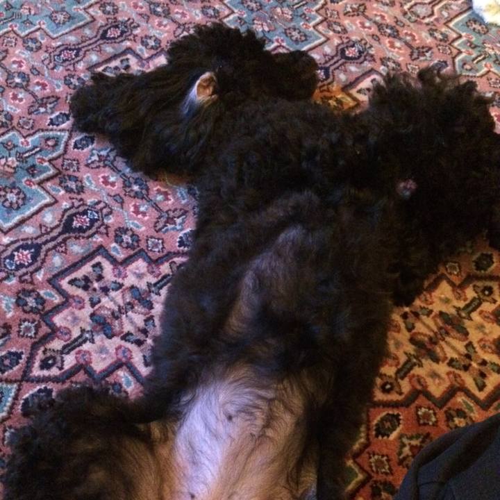 B6861275 ec27 4e74 9b42 dc063c3570de 1538117354444