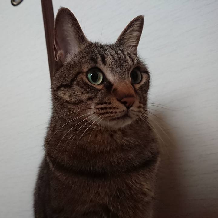 B6862606 25d2 4dd2 bd9b 7aaad531180b 1550360934990