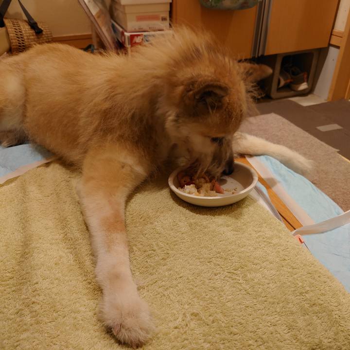 B6863499 cac4 4862 9053 05d6888227e3 1633699257950