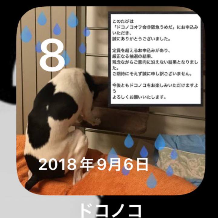 B6864255 8681 4835 a414 e6bfc57d0bca 1662633783184