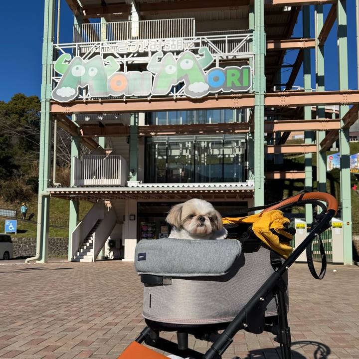 B686947d c436 47f8 b8fa 6789aeb2cc0d 1766915120345