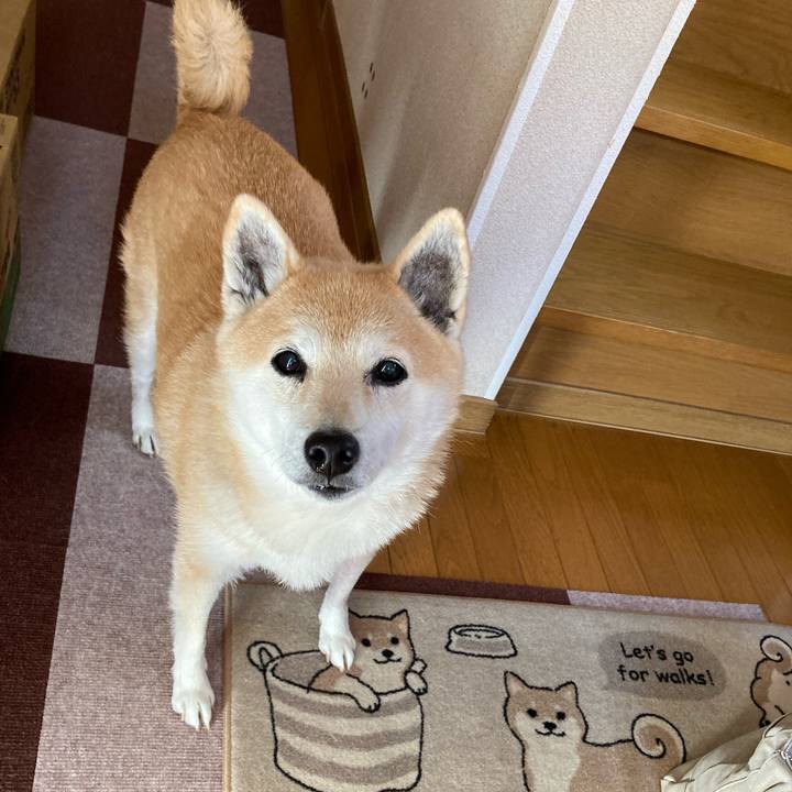 B6869905 2639 4aec b7c9 58b974fb44dc 1638505075578