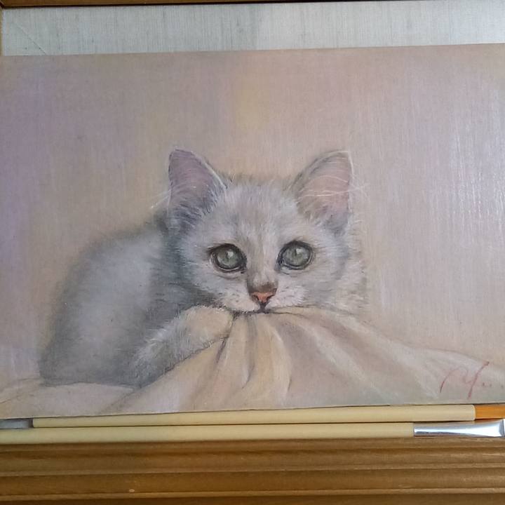 B68707f7 3888 43a2 ab2e c97ff8bc32f7 1637480196761