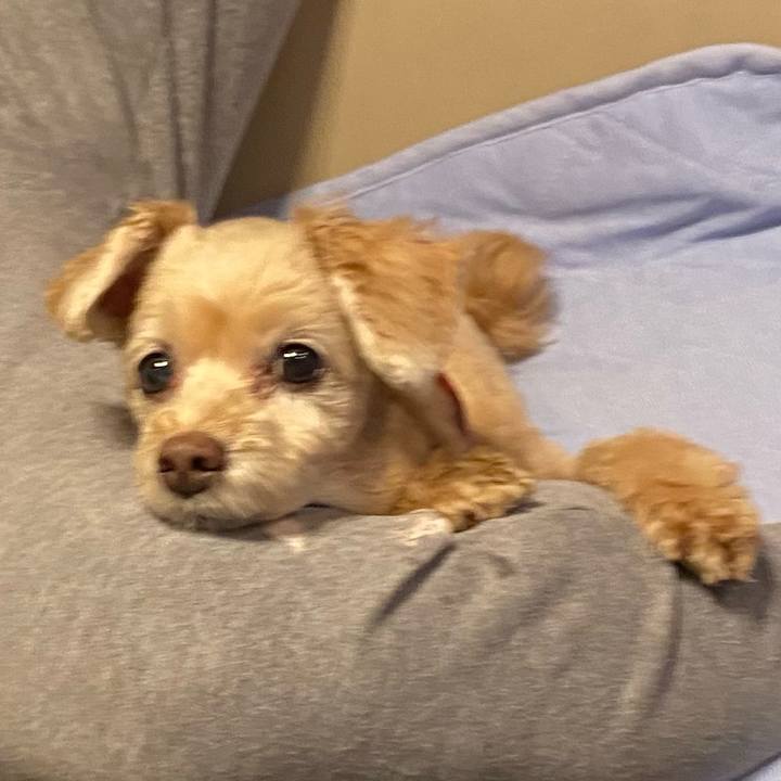 B6871129 55fc 49f0 99f3 6b39d4a2377d 1659920608458