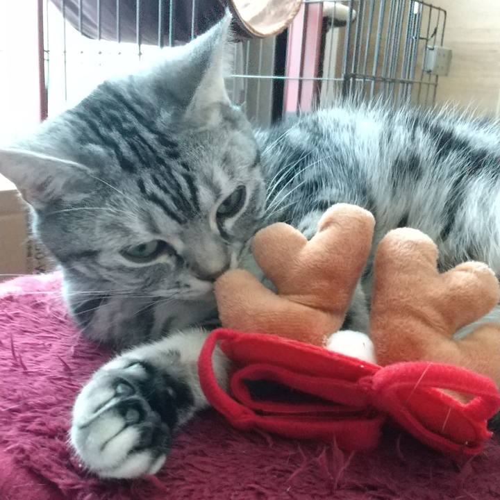 B6874c56 3492 4fa9 b0e6 4f9c3ca0ad91 1644753143861