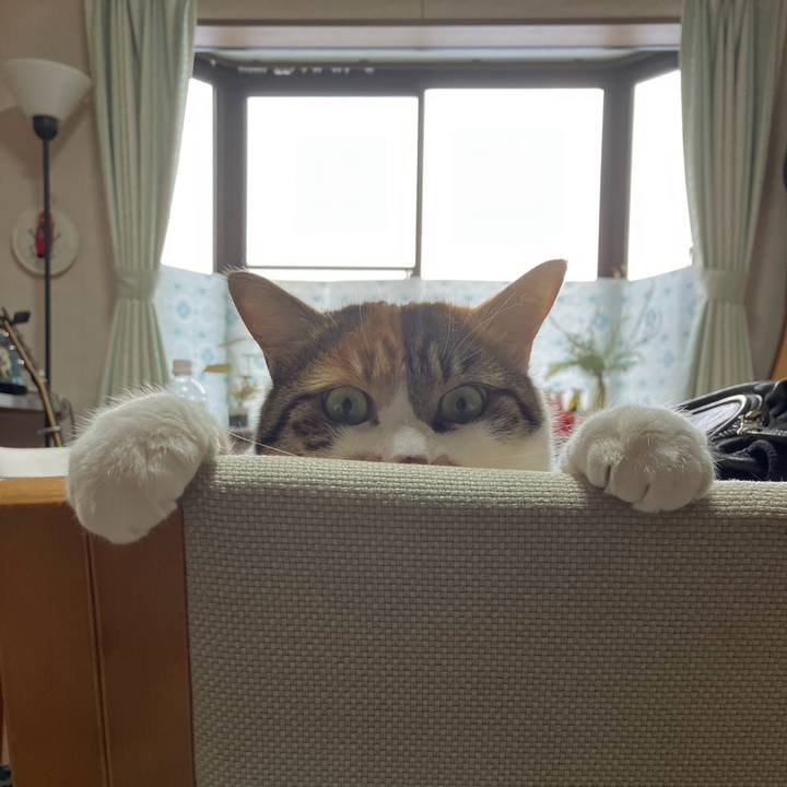 B68751b7 2019 4486 a748 ccce08968091 1739750018298