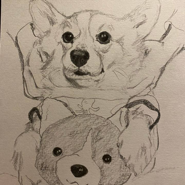 B6877784 a4ca 4171 a844 e3352ce94cf6 1643547234587