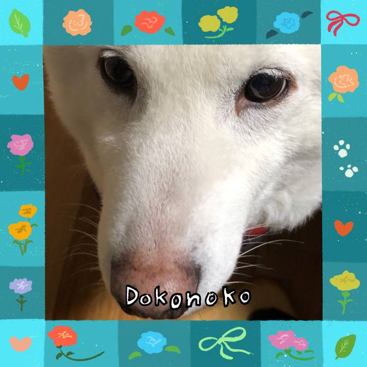 B6878044 9dbf 40e6 a556 e96a1fa3107a 1715088999461